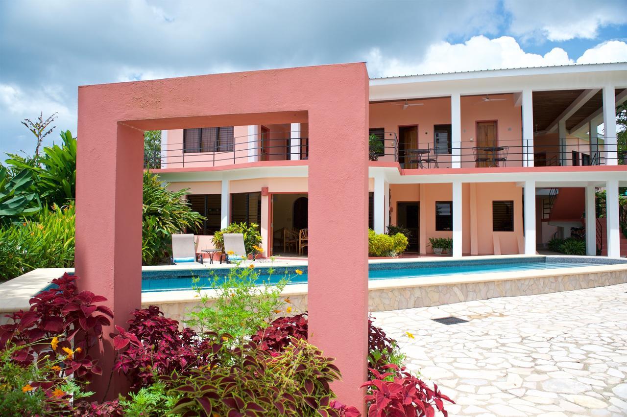 Coral House Bed and Breakfast Punta Gorda Εξωτερικό φωτογραφία