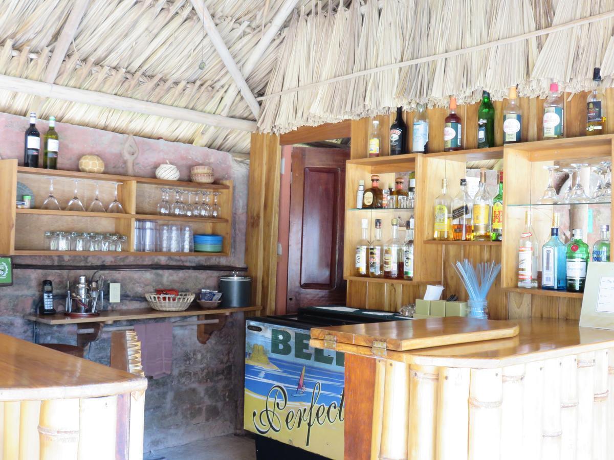Coral House Bed and Breakfast Punta Gorda Εξωτερικό φωτογραφία