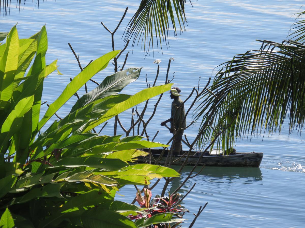 Coral House Bed and Breakfast Punta Gorda Εξωτερικό φωτογραφία