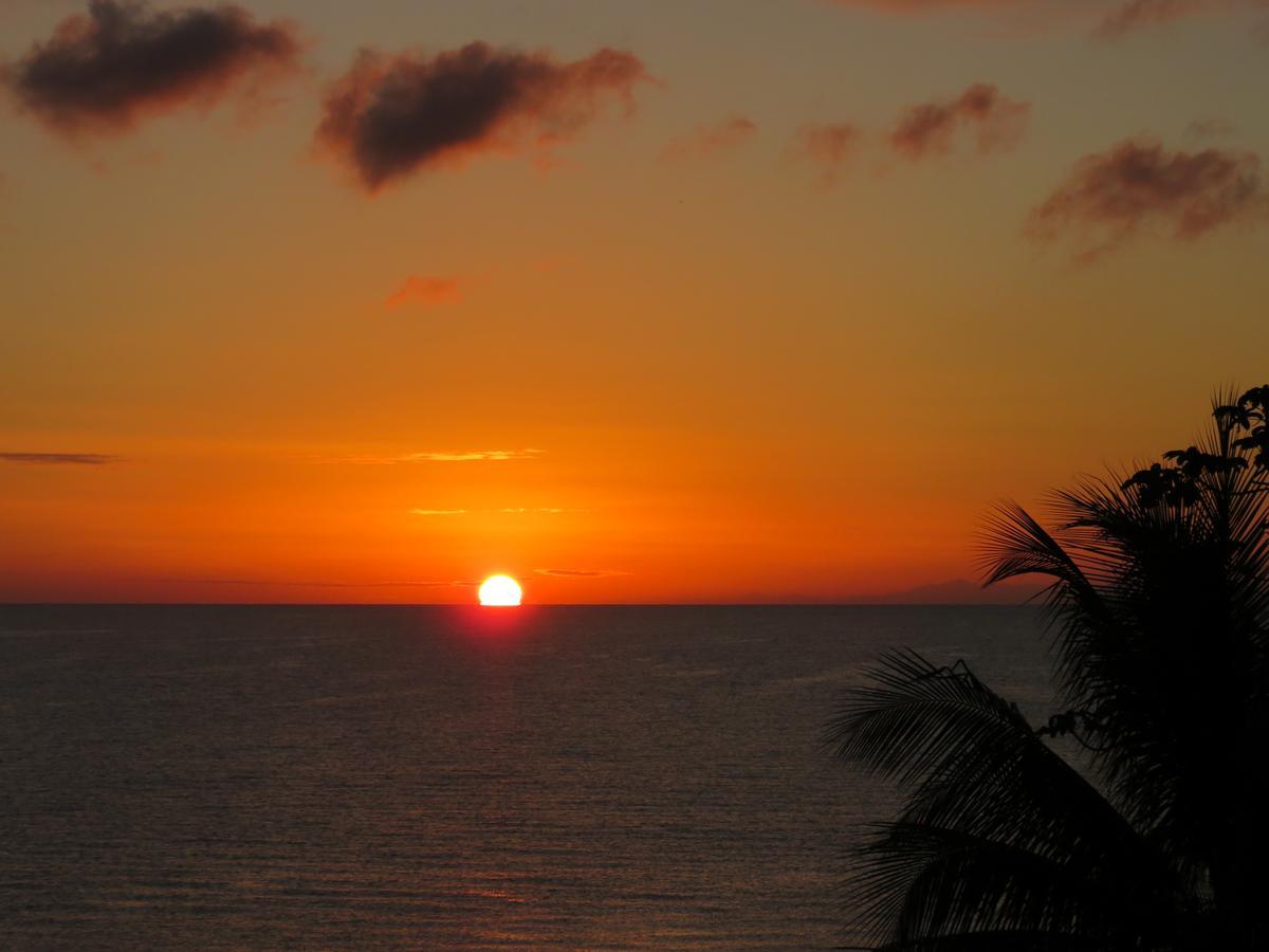 Coral House Bed and Breakfast Punta Gorda Εξωτερικό φωτογραφία
