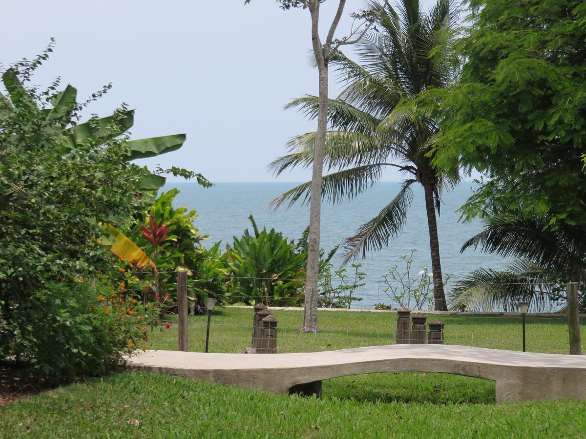 Coral House Bed and Breakfast Punta Gorda Εξωτερικό φωτογραφία