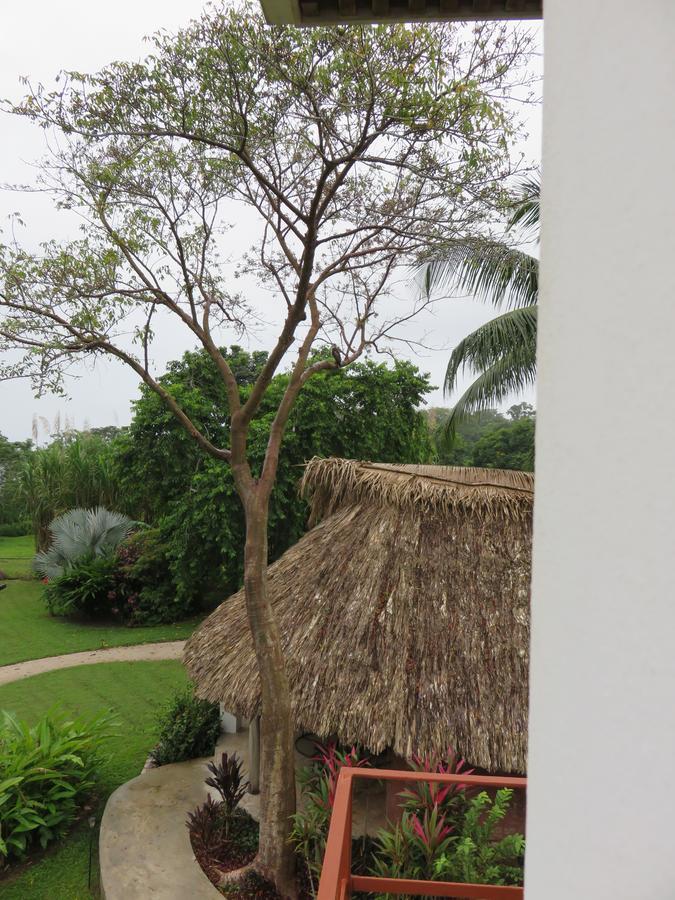 Coral House Bed and Breakfast Punta Gorda Εξωτερικό φωτογραφία